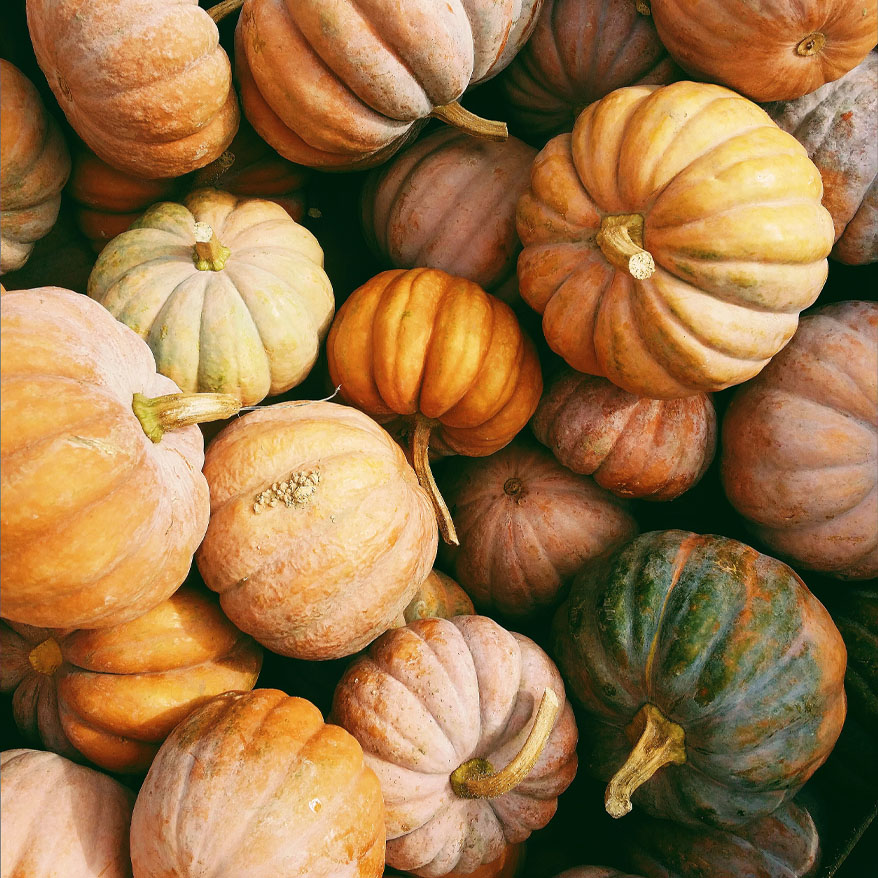 Photo of a pile of pumpkins in different colours and sizes