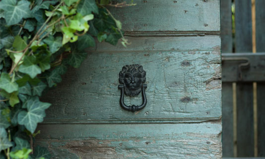 Photo of a wooden door with a lion knocker and a climbing plant